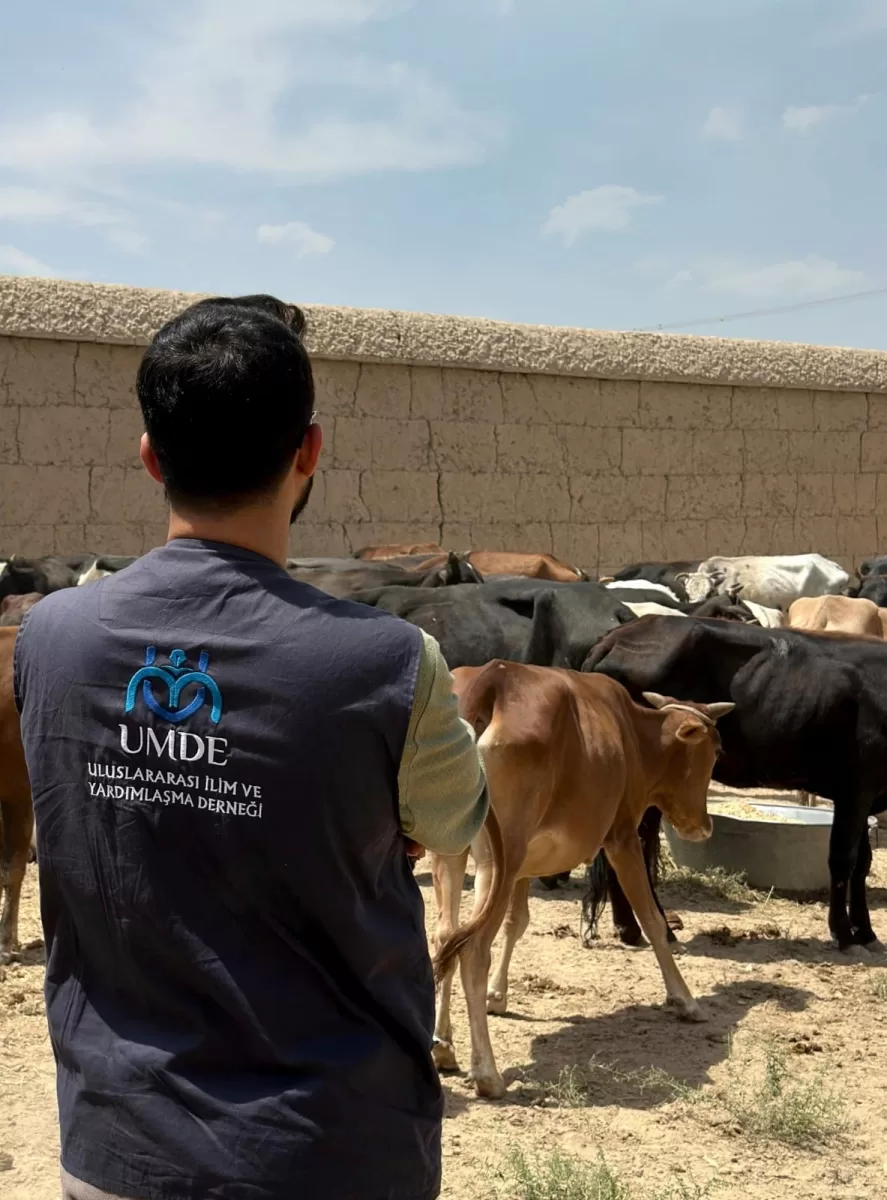 Afganistan’da Bayram Bereketi | 2025 Kurban Organizasyonu